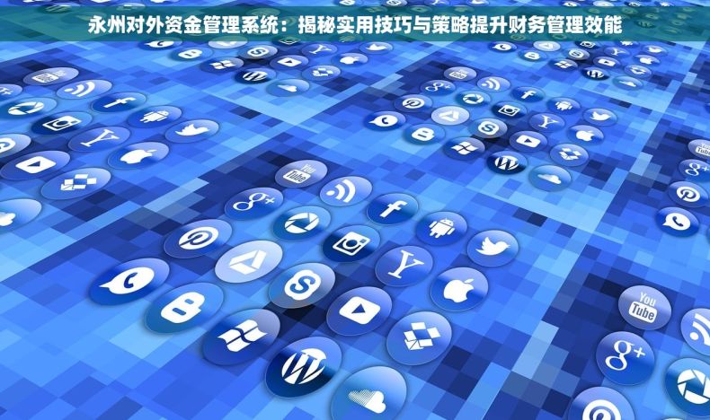 永州对外资金管理系统：揭秘实用技巧与策略提升财务管理效能