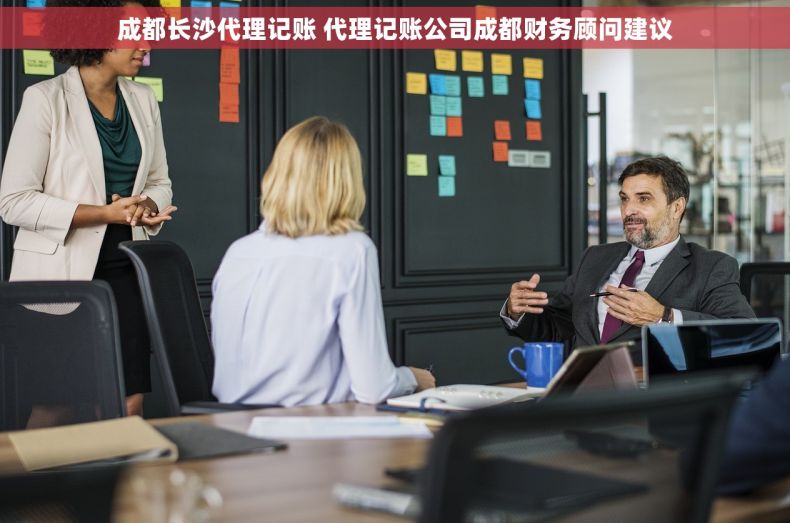 成都长沙代理记账 代理记账公司成都财务顾问建议