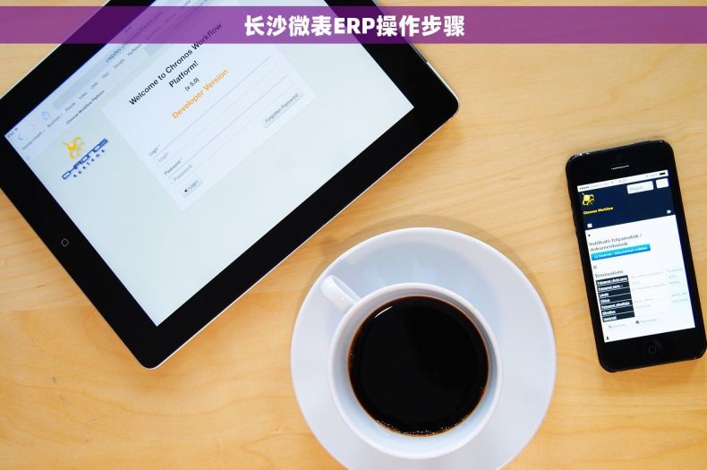 长沙微表ERP操作步骤