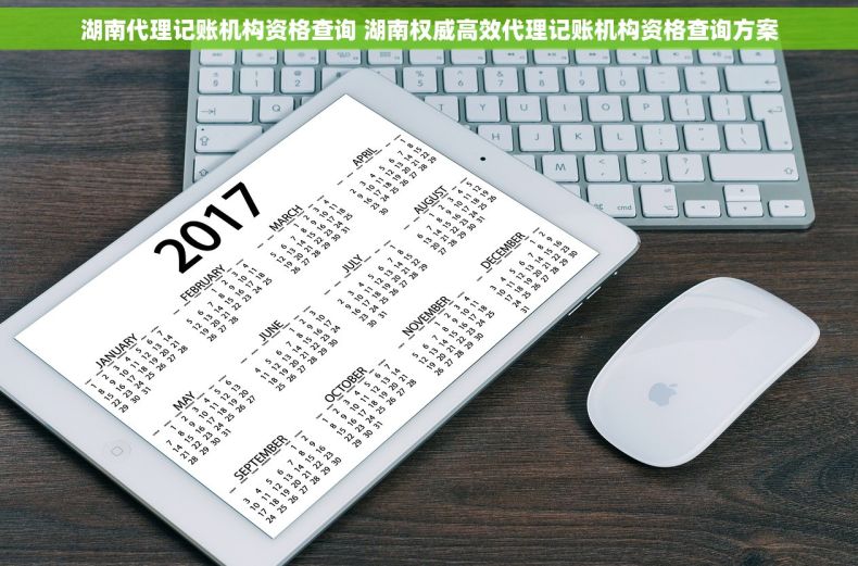 湖南代理记账机构资格查询 湖南权威高效代理记账机构资格查询方案