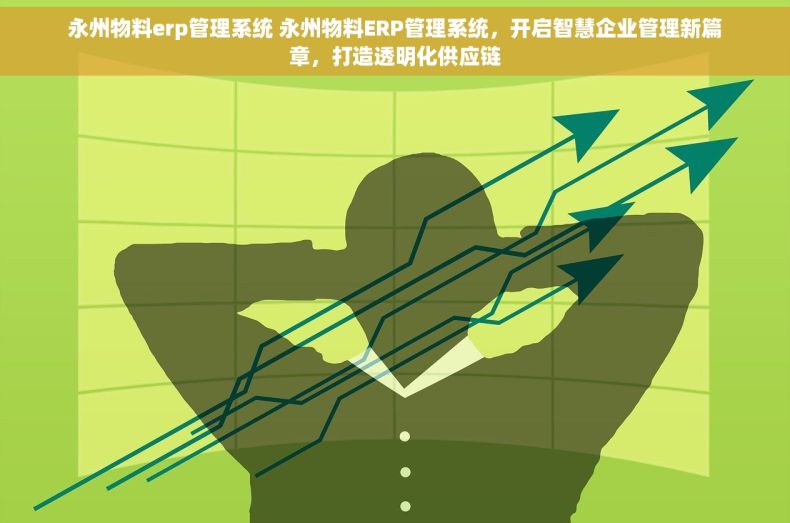 永州物料erp管理系统 永州物料ERP管理系统，开启智慧企业管理新篇章，打造透明化供应链