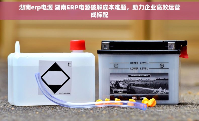 湖南erp电源 湖南ERP电源破解成本难题，助力企业高效运营成标配