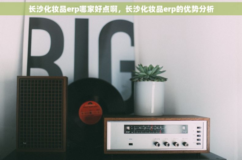 长沙化妆品erp哪家好点啊，长沙化妆品erp的优势分析