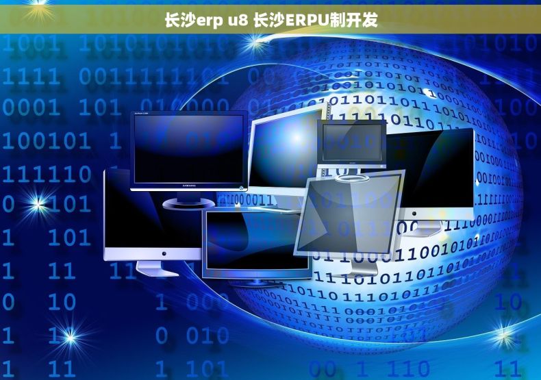 长沙erp u8 长沙ERPU制开发