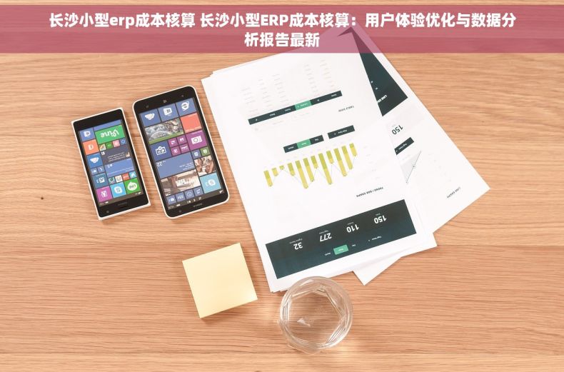 长沙小型erp成本核算 长沙小型ERP成本核算：用户体验优化与数据分析报告最新