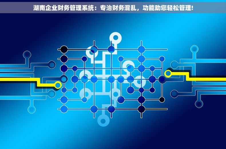 湖南企业财务管理系统：专治财务混乱，功能助您轻松管理!