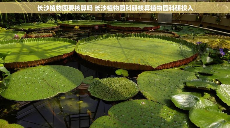 长沙植物园要核算吗 长沙植物园科研核算植物园科研投入