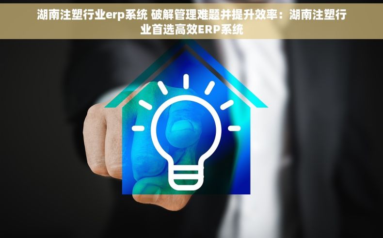 湖南注塑行业erp系统 破解管理难题并提升效率：湖南注塑行业首选高效ERP系统