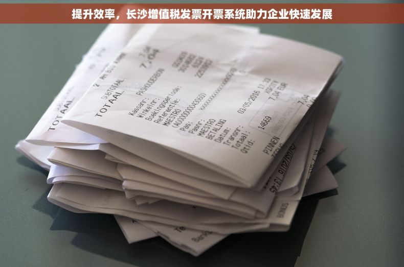 提升效率，长沙增值税发票开票系统助力企业快速发展