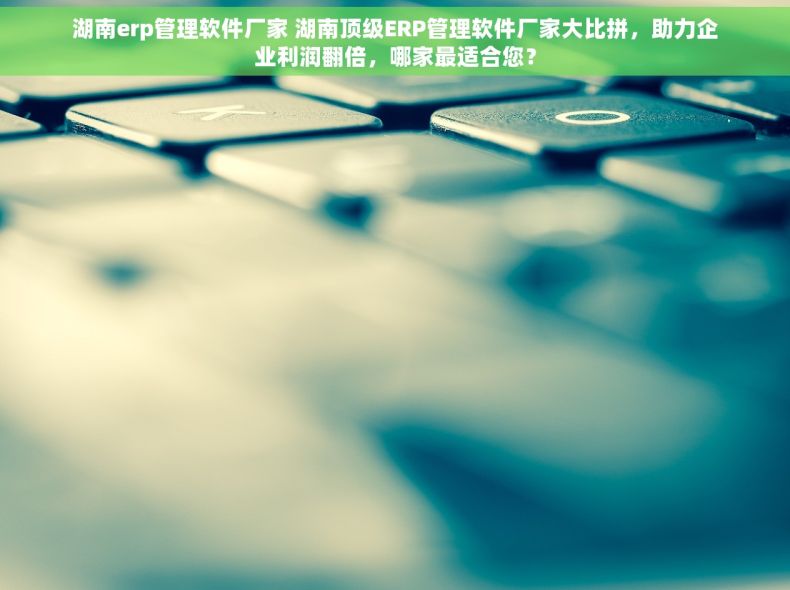 湖南erp管理软件厂家 湖南顶级ERP管理软件厂家大比拼，助力企业利润翻倍，哪家最适合您？