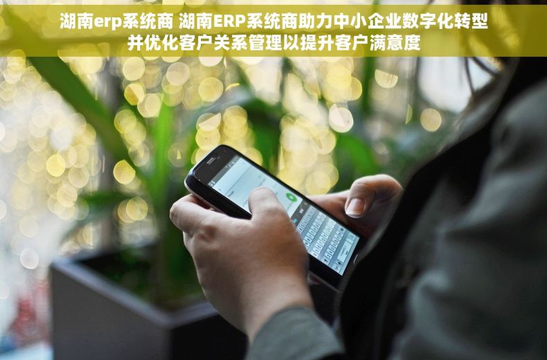 湖南erp系统商 湖南ERP系统商助力中小企业数字化转型并优化客户关系管理以提升客户满意度