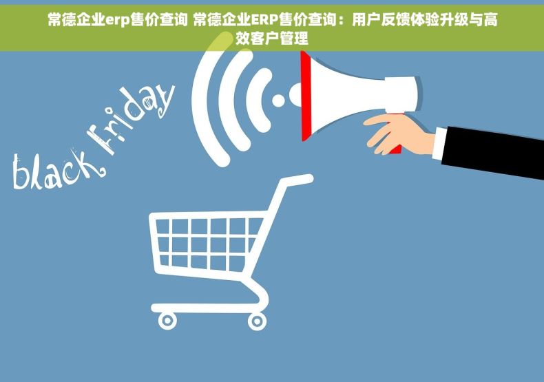 常德企业erp售价查询 常德企业ERP售价查询：用户反馈体验升级与高效客户管理