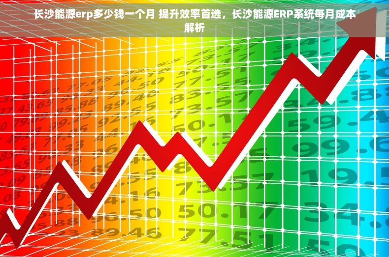 长沙能源erp多少钱一个月 提升效率首选，长沙能源ERP系统每月成本解析