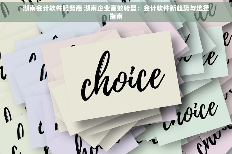 湖南会计软件服务商 湖南企业高效转型：会计软件新趋势与选择指南