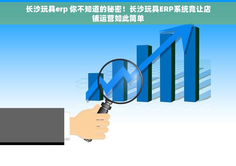 长沙玩具erp 你不知道的秘密！长沙玩具ERP系统竟让店铺运营如此简单