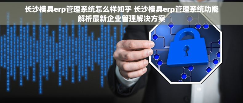 长沙模具erp管理系统怎么样知乎 长沙模具erp管理系统功能解析最新企业管理解决方案