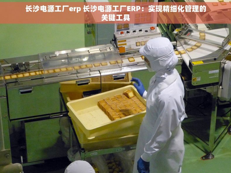 长沙电源工厂erp 长沙电源工厂ERP：实现精细化管理的关键工具