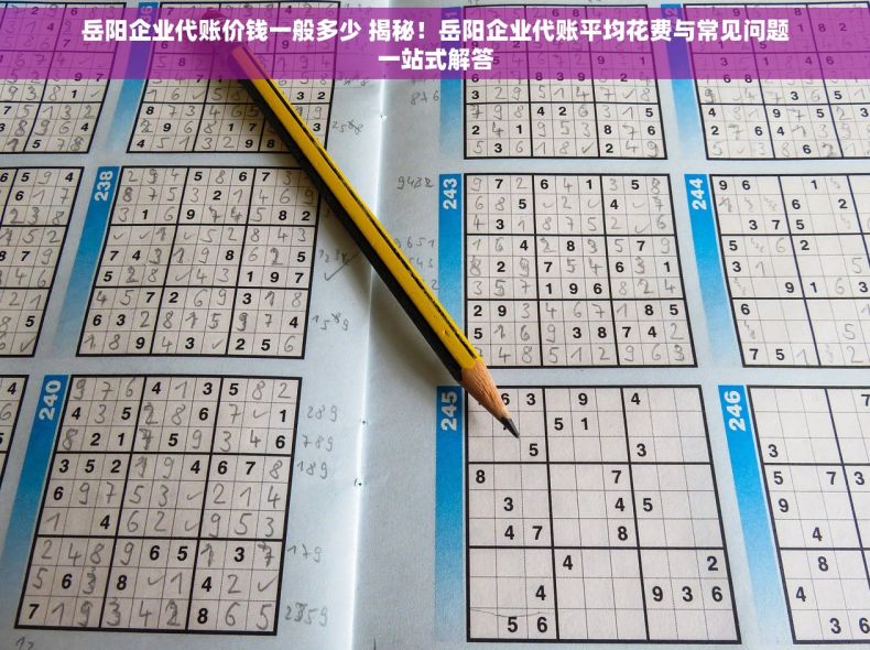 岳阳企业代账价钱一般多少 揭秘！岳阳企业代账平均花费与常见问题一站式解答