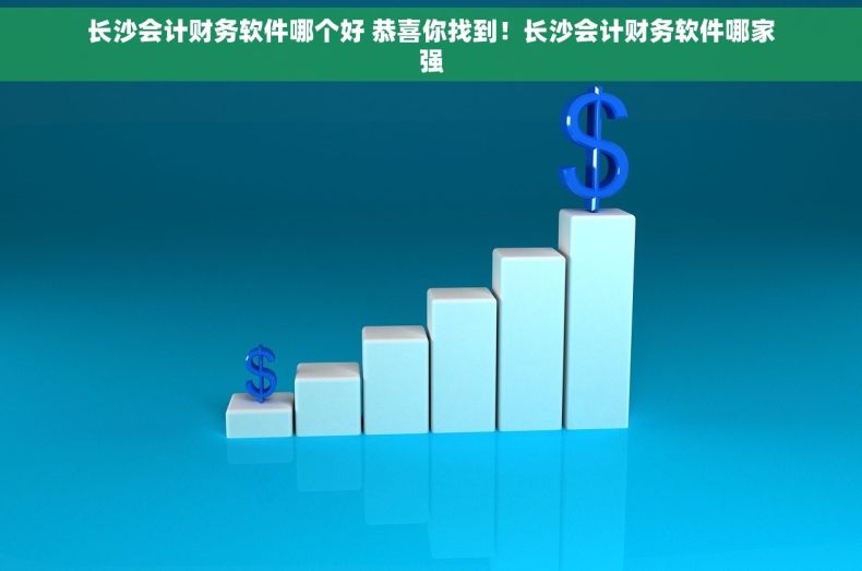 长沙会计财务软件哪个好 恭喜你找到！长沙会计财务软件哪家强