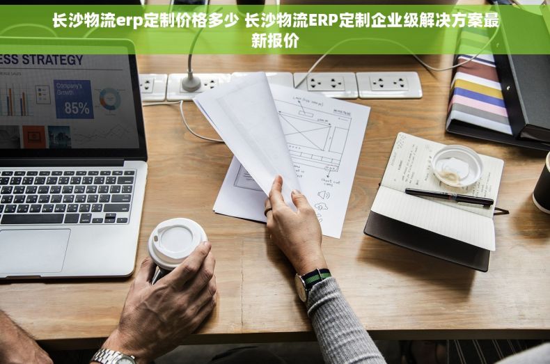长沙物流erp定制价格多少 长沙物流ERP定制企业级解决方案最新报价