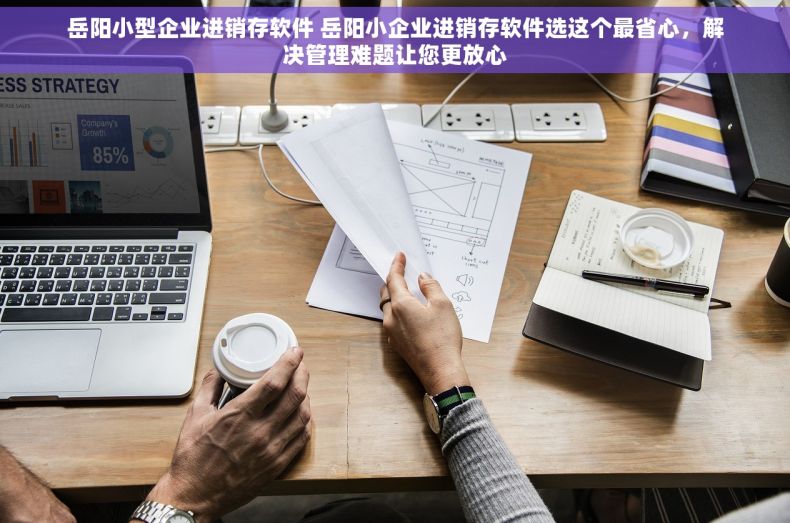 岳阳小型企业进销存软件 岳阳小企业进销存软件选这个最省心，解决管理难题让您更放心