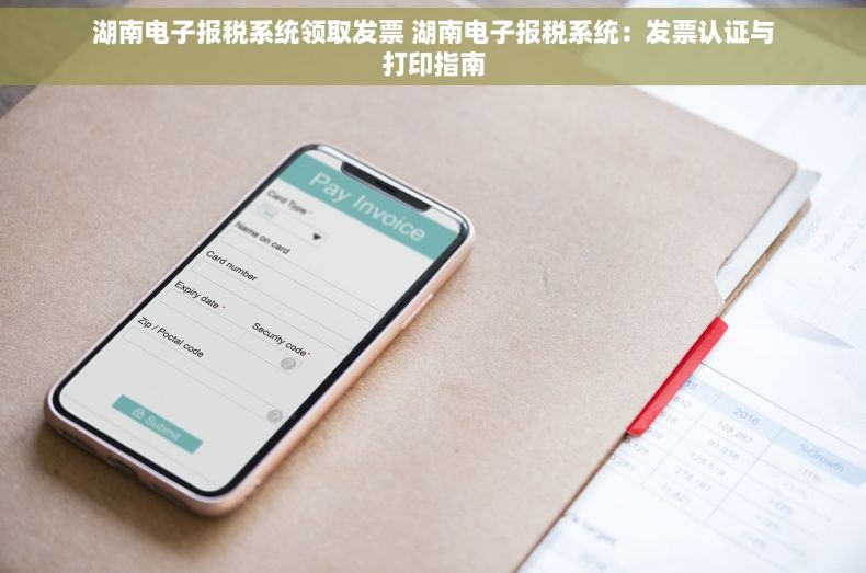 湖南电子报税系统领取发票 湖南电子报税系统：发票认证与打印指南