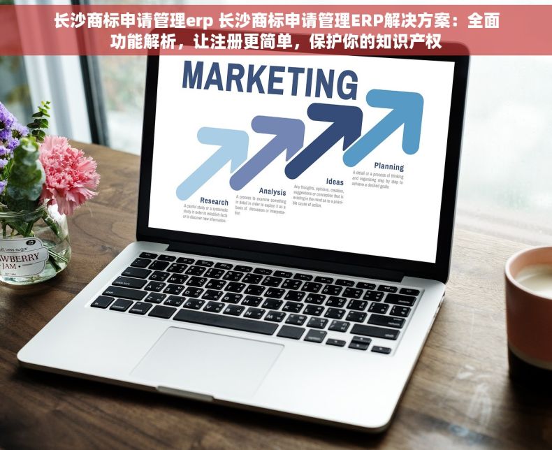 长沙商标申请管理erp 长沙商标申请管理ERP解决方案：全面功能解析，让注册更简单，保护你的知识产权
