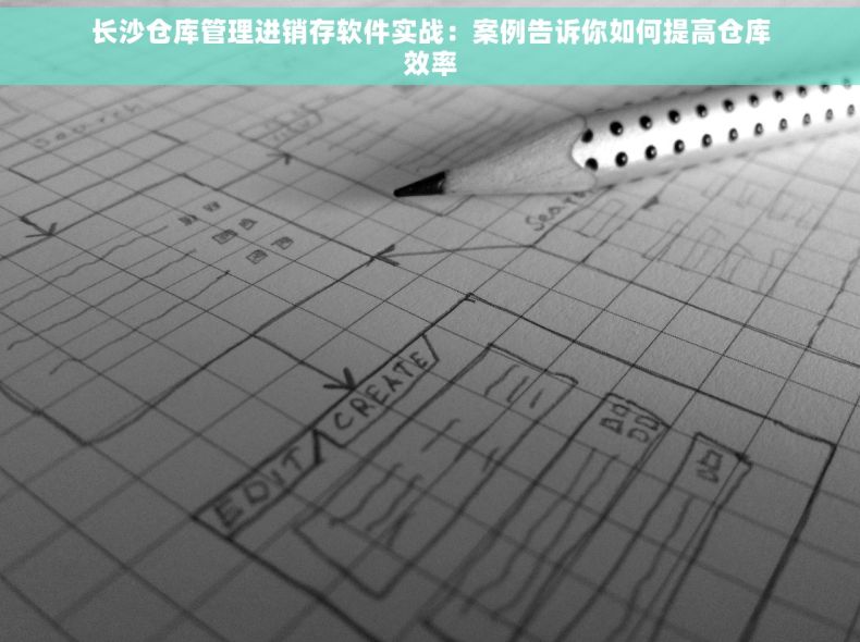 长沙仓库管理进销存软件实战：案例告诉你如何提高仓库效率
