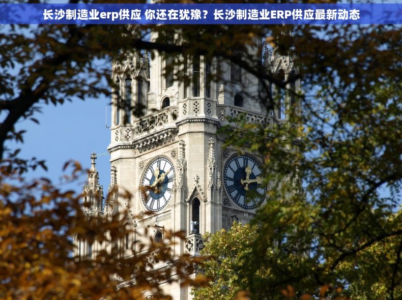 长沙制造业erp供应 你还在犹豫？长沙制造业ERP供应最新动态