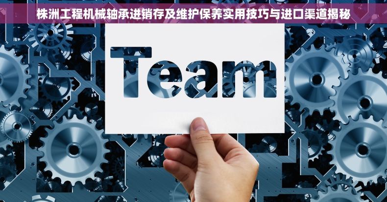 株洲工程机械轴承进销存及维护保养实用技巧与进口渠道揭秘