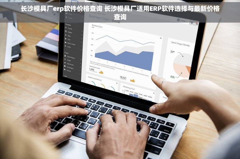 长沙模具厂erp软件价格查询 长沙模具厂适用ERP软件选择与最新价格查询