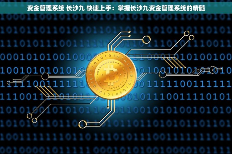 资金管理系统 长沙九 快速上手：掌握长沙九资金管理系统的精髓