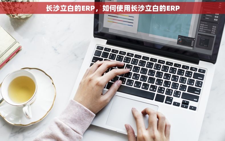 长沙立白的ERP，如何使用长沙立白的ERP