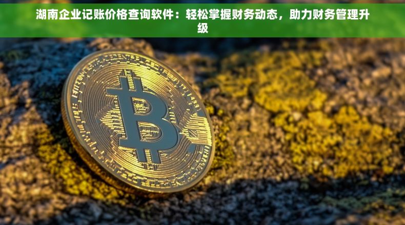 湖南企业记账价格查询软件：轻松掌握财务动态，助力财务管理升级