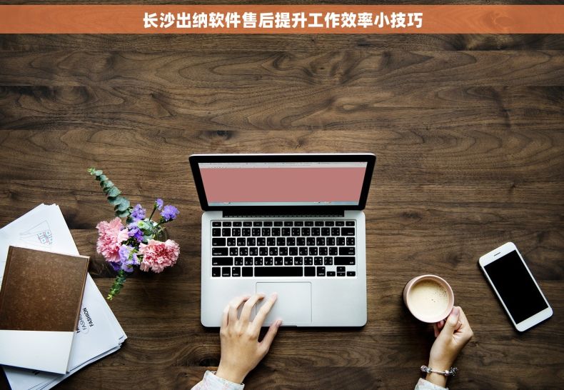 长沙出纳软件售后提升工作效率小技巧