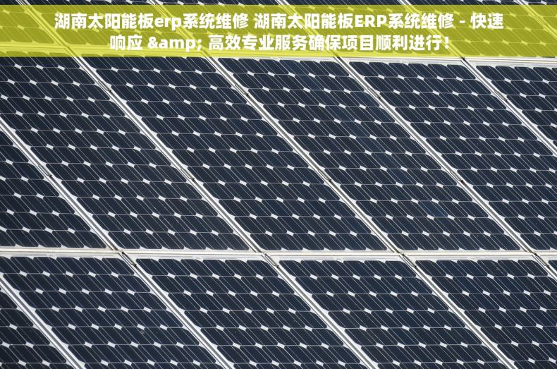 湖南太阳能板erp系统维修 湖南太阳能板ERP系统维修 - 快速响应 & 高效专业服务确保项目顺利进行！