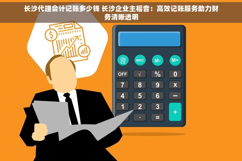 长沙代理会计记账多少钱 长沙企业主福音：高效记账服务助力财务清晰透明