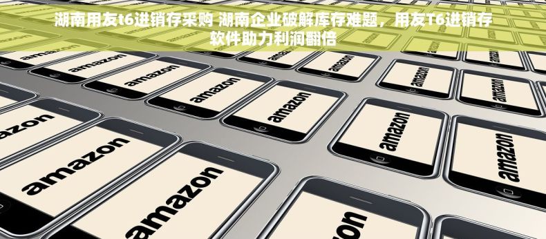 湖南用友t6进销存采购 湖南企业破解库存难题，用友T6进销存软件助力利润翻倍