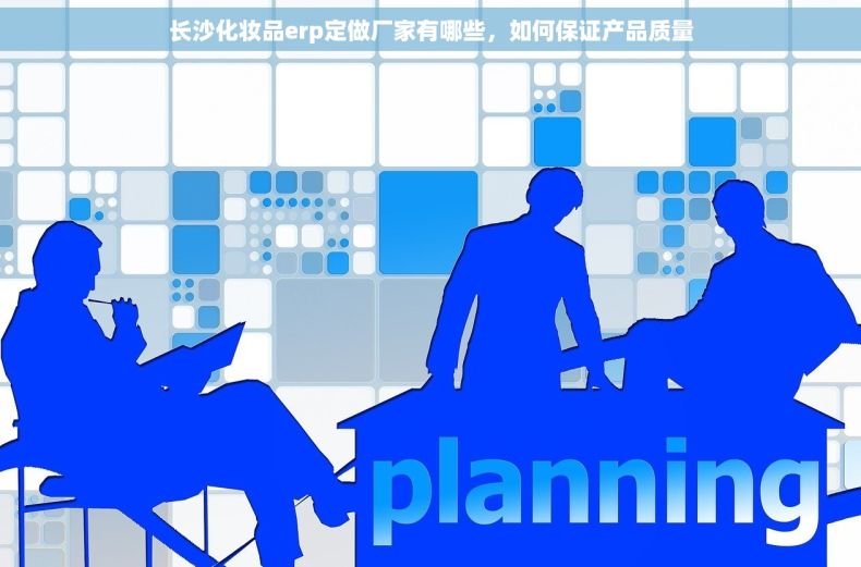 长沙化妆品erp定做厂家有哪些，如何保证产品质量