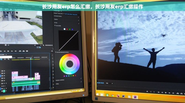 长沙用友erp怎么汇缴，长沙用友erp汇缴操作