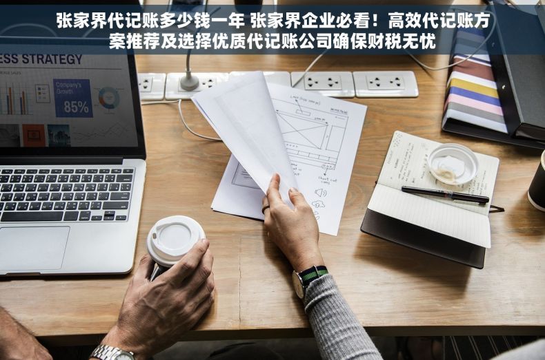 张家界代记账多少钱一年 张家界企业必看！高效代记账方案推荐及选择优质代记账公司确保财税无忧