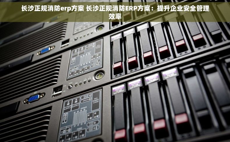 长沙正规消防erp方案 长沙正规消防ERP方案：提升企业安全管理效率