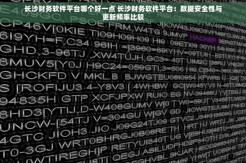 长沙财务软件平台哪个好一点 长沙财务软件平台：数据安全性与更新频率比较