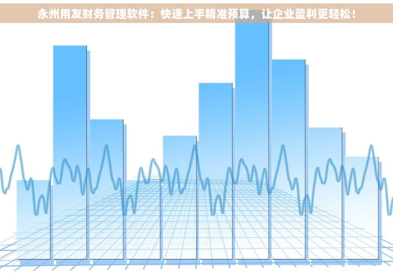 永州用友财务管理软件：快速上手精准预算，让企业盈利更轻松！