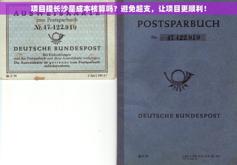 项目提长沙是成本核算吗？避免超支，让项目更顺利！