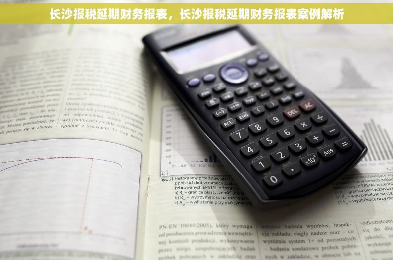 长沙报税延期财务报表，长沙报税延期财务报表案例解析