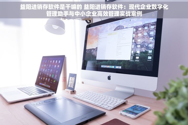 益阳进销存软件是干嘛的 益阳进销存软件：现代企业数字化管理助手与中小企业高效管理实战案例