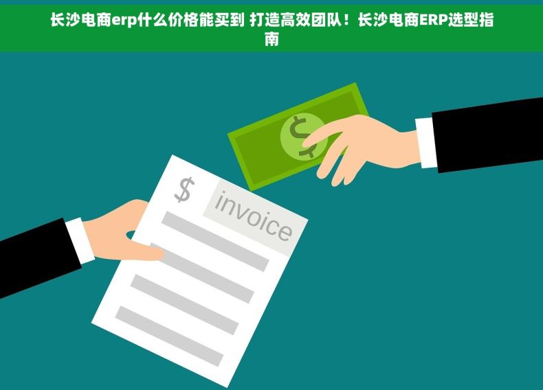 长沙电商erp什么价格能买到 打造高效团队！长沙电商ERP选型指南