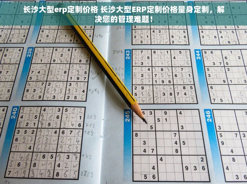 长沙大型erp定制价格 长沙大型ERP定制价格量身定制，解决您的管理难题！