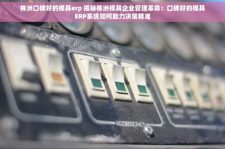 株洲口碑好的模具erp 揭秘株洲模具企业管理革命：口碑好的模具ERP系统如何助力决策精准